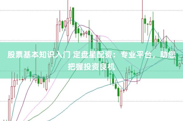 股票基本知识入门 定盘星配资：专业平台，助您把握投资良机