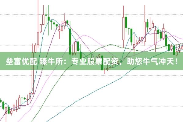 垒富优配 臻牛所：专业股票配资，助您牛气冲天！