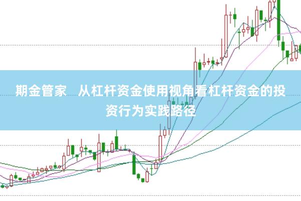 期金管家   从杠杆资金使用视角看杠杆资金的投资行为实践路径